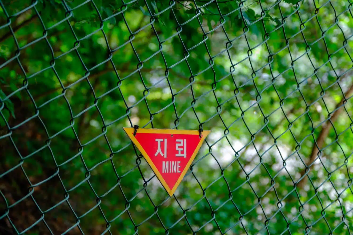 cheorwon-minefield Minefield in Cheorwon.