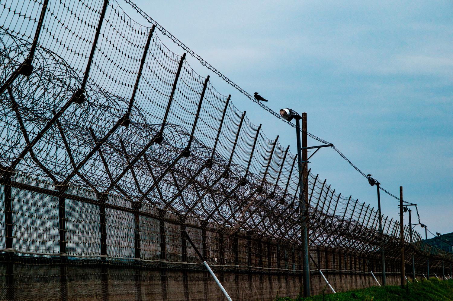 A crow sits on the top of a South Korean border fence facing North Korea.