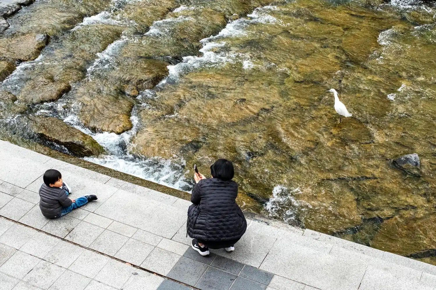 cheonggyecheon-stream-2026-march-2 A woman photographs a child near a white bird along Cheonggyecheon