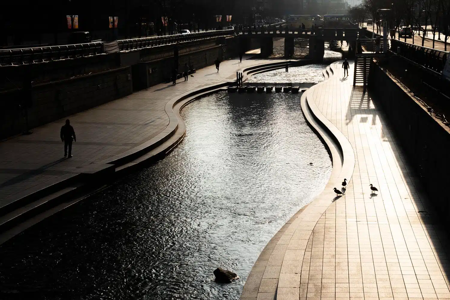 cheonggyecheon-stream-2026-march-4 Early March morning along Cheonggyecheon