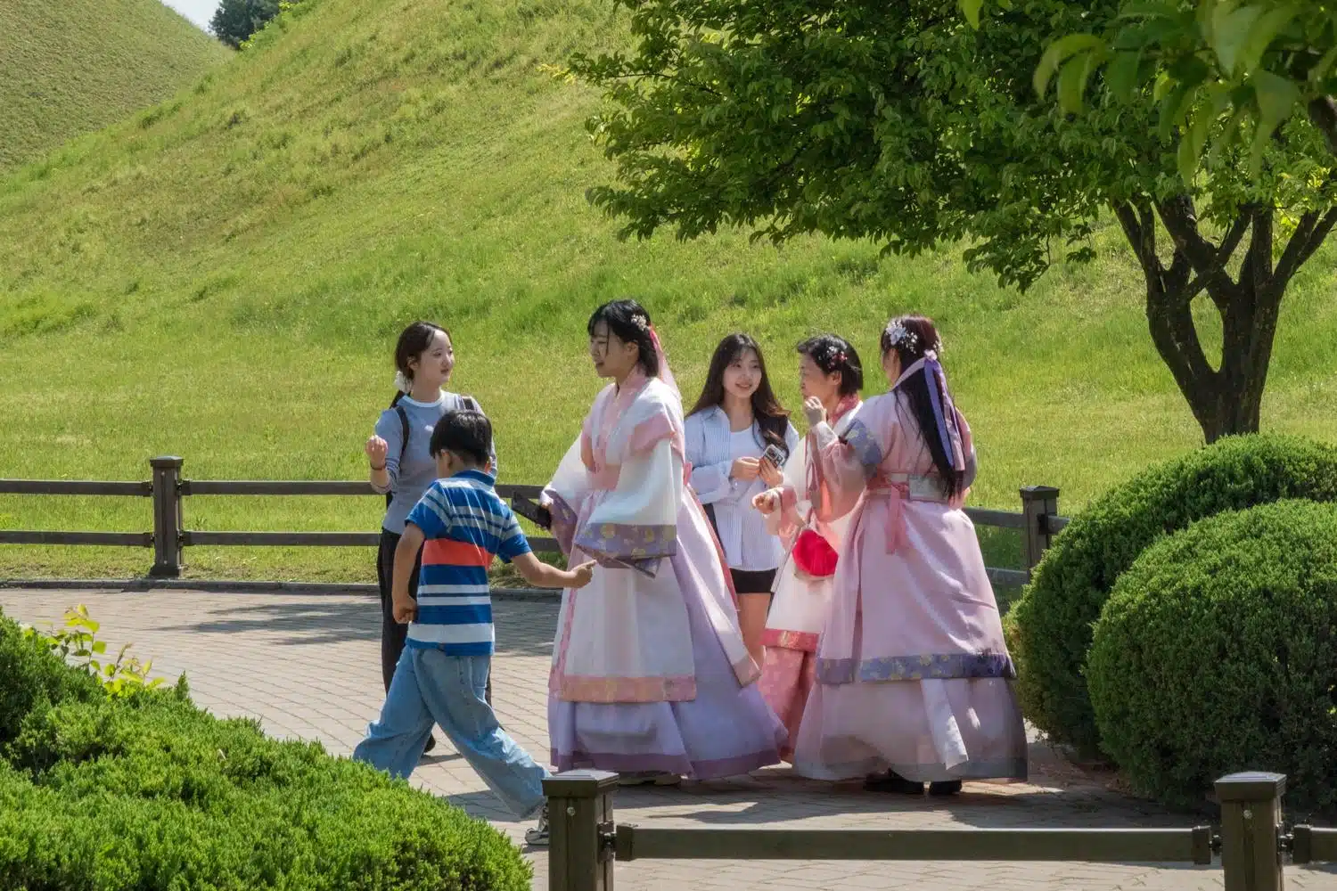 gyeongju-hanbok Young women wearing traditional korean hanboks gather in a park in Gyeongju.